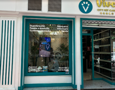 Vive Pet Salamanca | Guardería Y Peluquería para Perros en Madrid